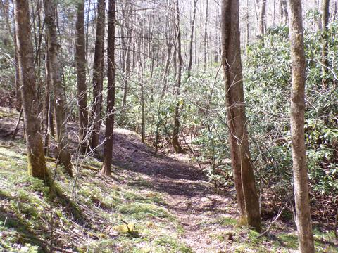 194 Jack Mckinney Road Hampton Tn 37658, Hampton, TN 37658 photo 21