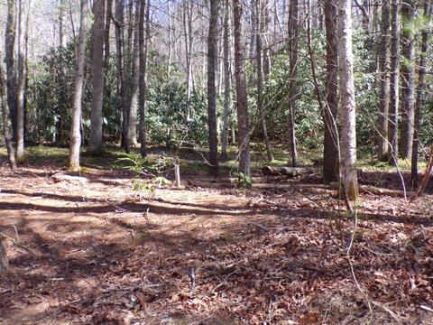194 Jack Mckinney Road Hampton Tn 37658, Hampton, TN 37658 photo 11