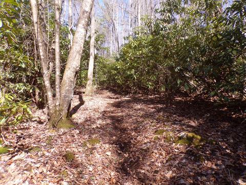 194 Jack Mckinney Road Hampton Tn 37658, Hampton, TN 37658 photo 8