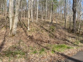 tbd Oak Drive Lot 20 Drive Unicoi Tn 37692, Unicoi, TN 37692