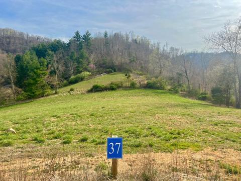 37 Cowan Town Road Butler Tn 37640, Butler, TN 37640