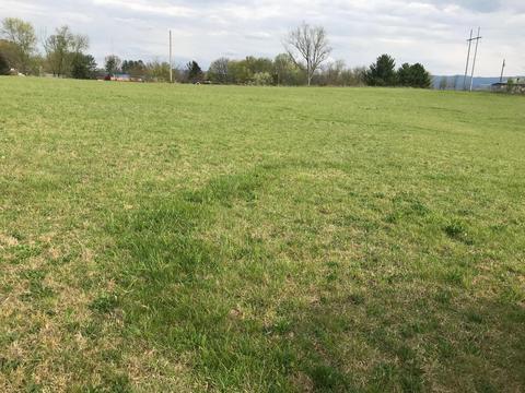 116 Walnut Court Limestone Tn 37681, Limestone, TN 37681 photo 11
