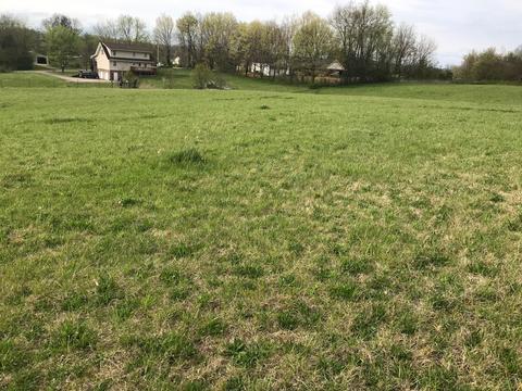 116 Walnut Court Limestone Tn 37681, Limestone, TN 37681 photo 9