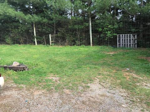 316 Mcinturff Road Limestone Tn 37681, Limestone, TN 37681 photo 5