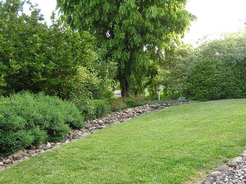 449 Springfield Drive Bristol Tn 37620, Bristol, TN 37620 photo 28