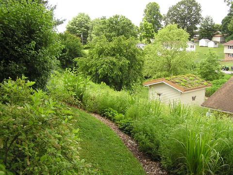 449 Springfield Drive Bristol Tn 37620, Bristol, TN 37620 photo 36