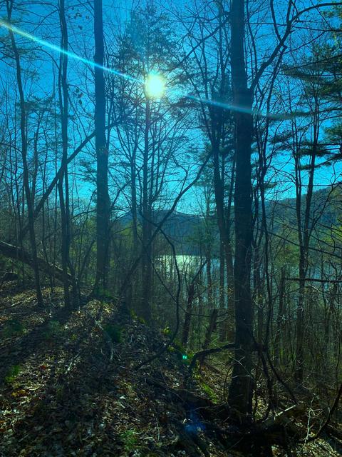 tbd Starboard Drive Butler Tn 37640, Butler, TN 37640