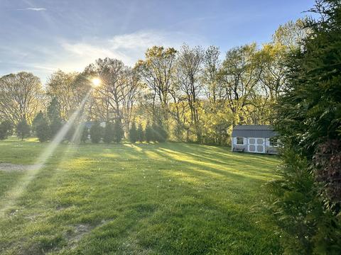 359 Mcinturff Road Limestone Tn 37681, Limestone, TN 37681 photo 54