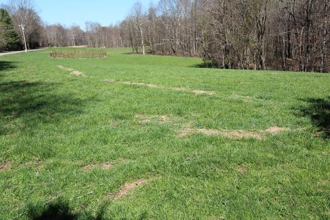 2998 Cross Mountain Road Shady Valley Tn 37688, Shady Valley, TN 37688
