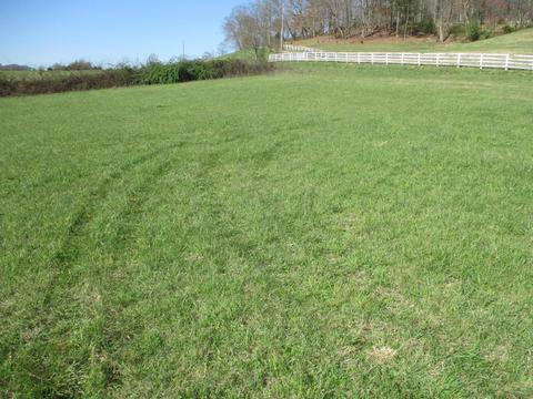 lot S 1-4 Double Springs Road Fall Branch Tn 37656, Fall Branch, TN 37656