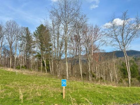 lot36 Cowan Town Road Butler Tn 37640, Butler, TN 37640