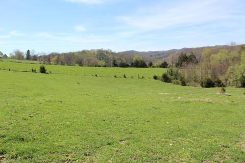 0 Old Woodway Road Dryden Va 24243, Dryden, VA 24243