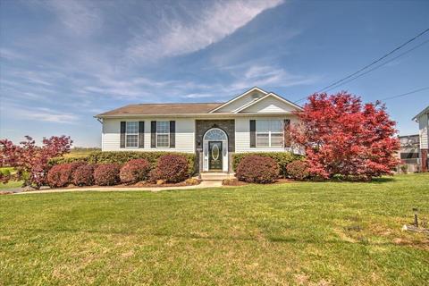 1238 Bowmantown Road Limestone Tn 37681, Limestone, TN 37681
