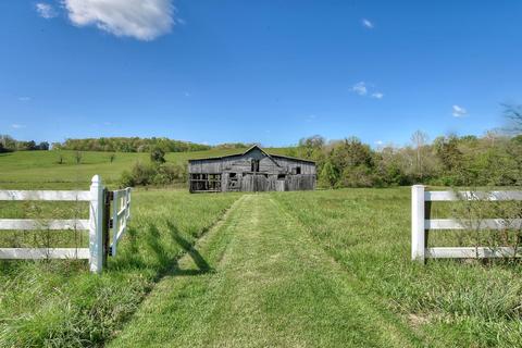 420 Bailey Bridge Road Limestone Tn 37681, Limestone, TN 37681 photo 38