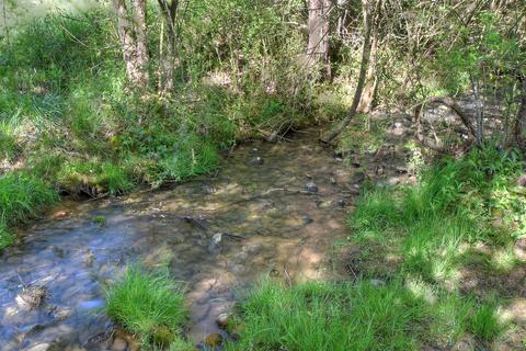 420 Bailey Bridge Road Limestone Tn 37681, Limestone, TN 37681 photo 45