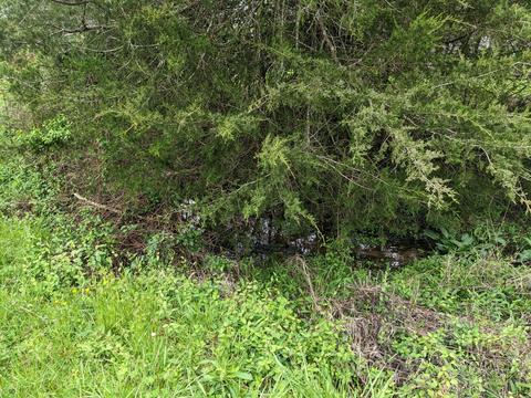 420 Bailey Bridge Road Limestone Tn 37681, Limestone, TN 37681 photo 47