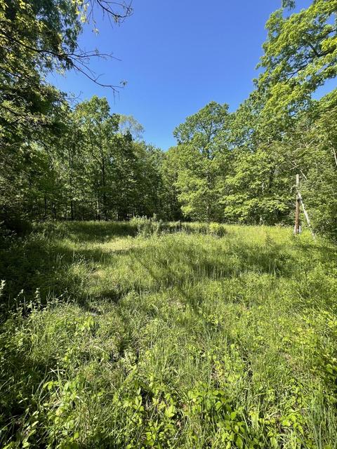 154 Victor Myers Lane Spencer Tn 38585, Spencer, TN 38585