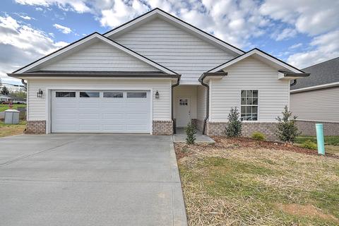 11 Palmetto Court Johnson City Tn 37615, Johnson City, TN 37615
