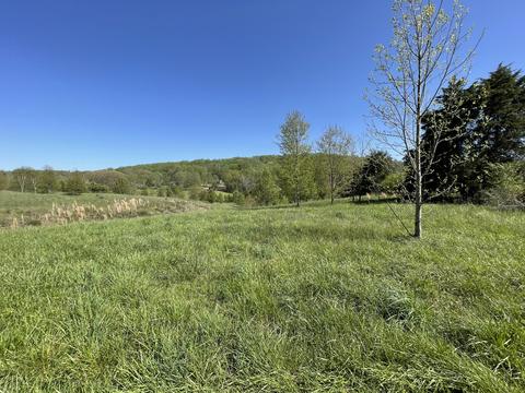 00 Earl Street Greeneville Tn 37743, Greeneville, TN 37743