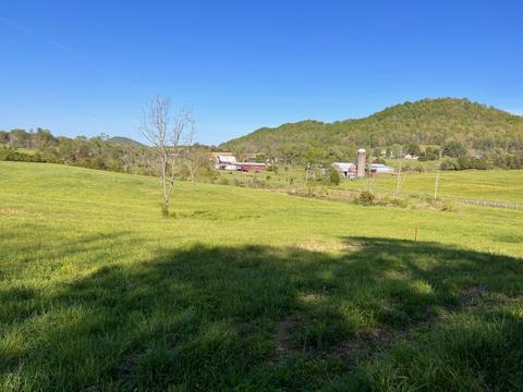 297 Hickory Cove Road Rogersville Tn 37857, Rogersville, TN 37857