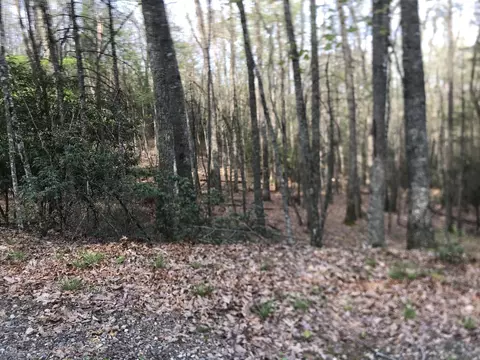 00 Sunset Ridge Butler Tn 37640, Butler, TN 37640