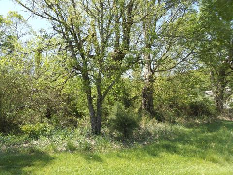 244 Shipley Road Johnson City Tn 37615, Johnson City, TN 37615