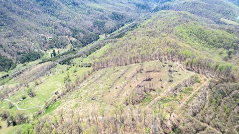 6149 Clinch Mountain Road Eidson Tn 37731, Eidson, TN 37731 photo 18