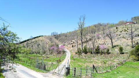 6149 Clinch Mountain Road Eidson Tn 37731, Eidson, TN 37731 photo 2