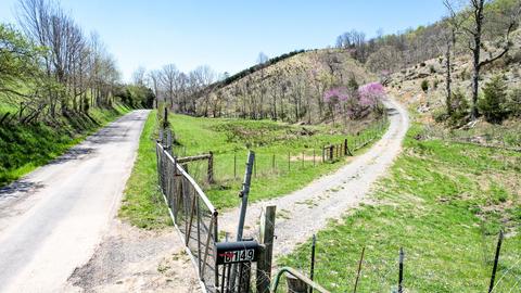6149 Clinch Mountain Road Eidson Tn 37731, Eidson, TN 37731 photo 28