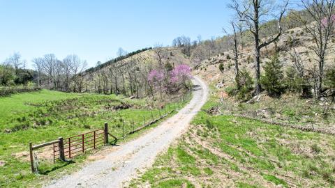 6149 Clinch Mountain Road Eidson Tn 37731, Eidson, TN 37731 photo 26