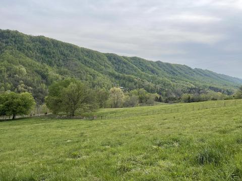 6149 Clinch Mountain Road Eidson Tn 37731, Eidson, TN 37731 photo 43