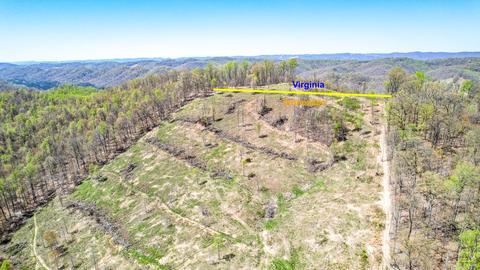 6149 Clinch Mountain Road Eidson Tn 37731, Eidson, TN 37731 photo 17