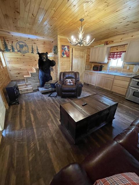 6149 Clinch Mountain Road Eidson Tn 37731, Eidson, TN 37731 photo 31