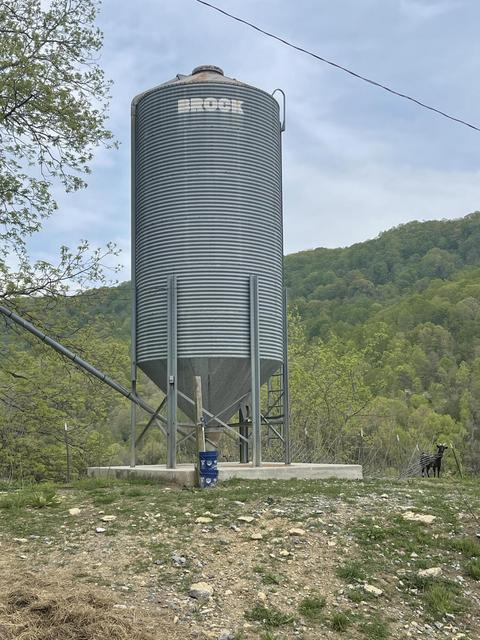 6149 Clinch Mountain Road Eidson Tn 37731, Eidson, TN 37731 photo 41