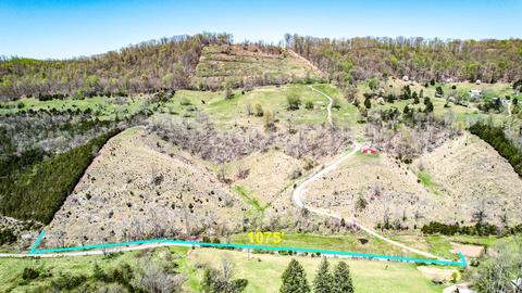 6149 Clinch Mountain Road Eidson Tn 37731, Eidson, TN 37731 photo 3