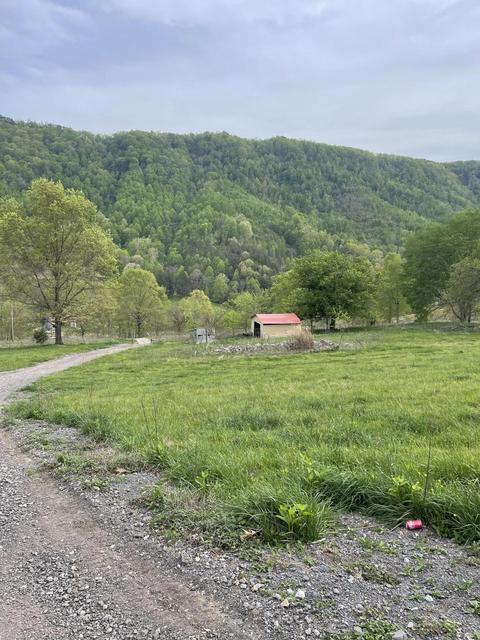 6149 Clinch Mountain Road Eidson Tn 37731, Eidson, TN 37731 photo 44