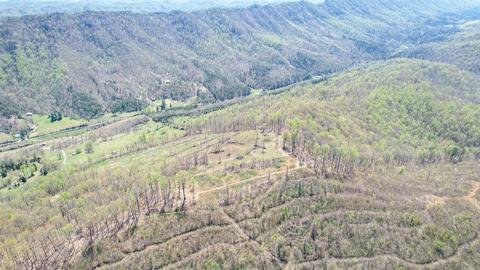 6149 Clinch Mountain Road Eidson Tn 37731, Eidson, TN 37731 photo 19