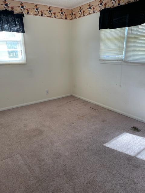 136 Polk Street Erwin Tn 37650, Erwin, TN 37650 photo 14