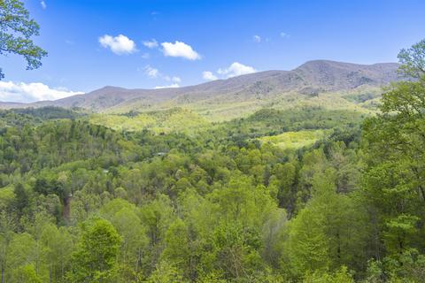 1048 Coffee Ridge Loop Erwin Tn 37650, Erwin, TN 37650 photo 42