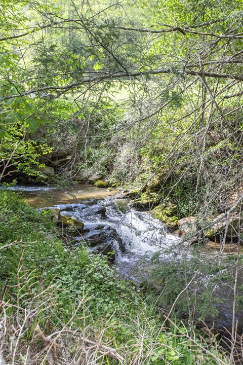 1048 Coffee Ridge Loop Erwin Tn 37650, Erwin, TN 37650 photo 60