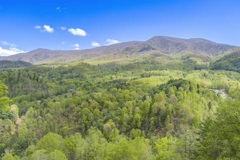 1048 Coffee Ridge Loop Erwin Tn 37650, Erwin, TN 37650 photo 57