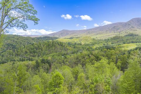 1048 Coffee Ridge Loop Erwin Tn 37650, Erwin, TN 37650 photo 56