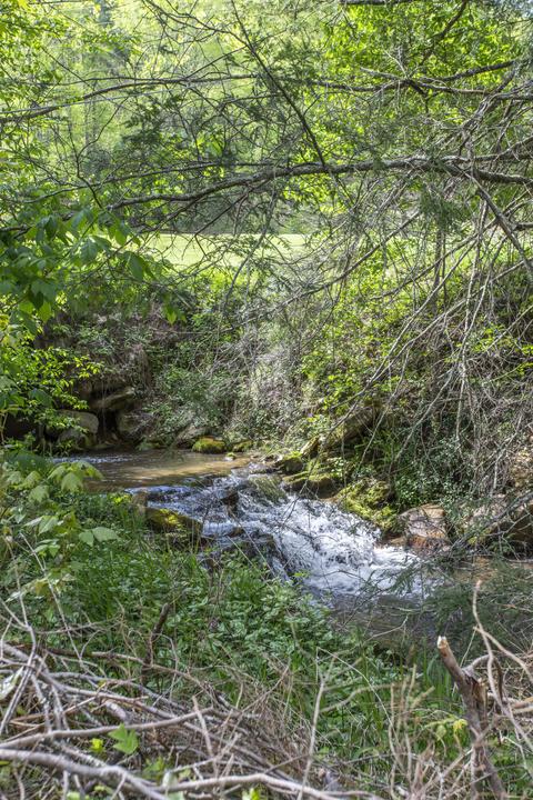 1048 Coffee Ridge Loop Erwin Tn 37650, Erwin, TN 37650 photo 59