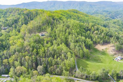 1048 Coffee Ridge Loop Erwin Tn 37650, Erwin, TN 37650 photo 55