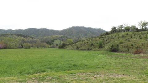 6434 Big Moccsain Rd Nickelsville Va 24271, Nickelsville, VA 24271