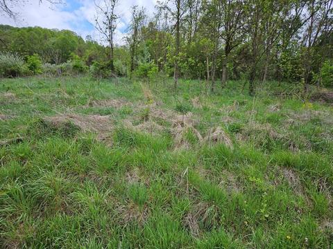 lot20 A Rattle Creek Road Abingdon Va 24210, Abingdon, VA 24210