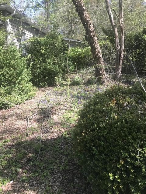 Undisclosed, Wise, VA 24293