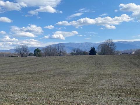 0 Alexander Ferry Lane Greeneville Tn 37743, Greeneville, TN 37743