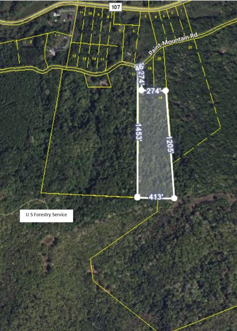 0 Paint Mtn Road Greeneville Tn 37743, Greeneville, TN 37743