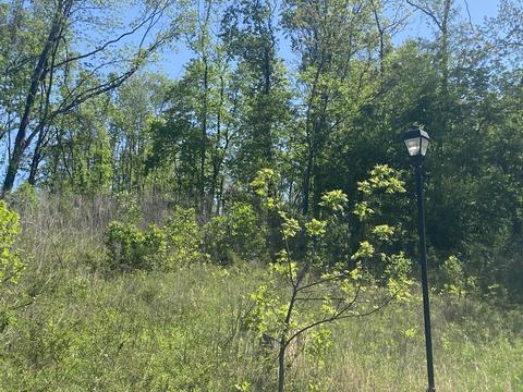 Lt 16 & 17 Becky Drive, Johnson City, TN 37601